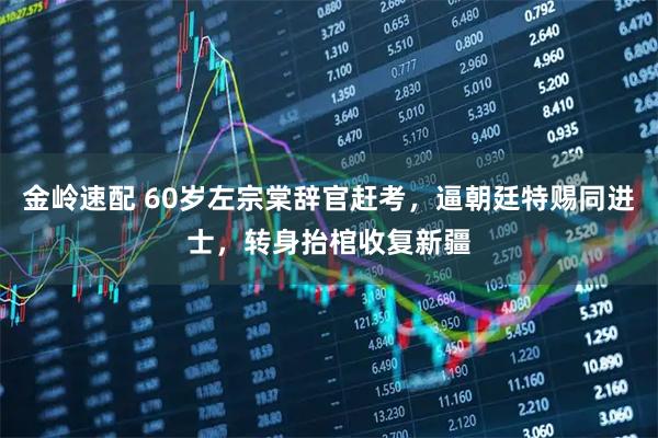 金岭速配 60岁左宗棠辞官赶考，逼朝廷特赐同进士，转身抬棺收复新疆