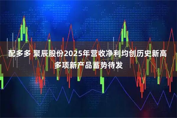 配多多 聚辰股份2025年营收净利均创历史新高 多项新产品蓄势待发