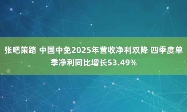 张吧策路 中国中免2025年营收净利双降 四季度单季净利同比增长53.49%